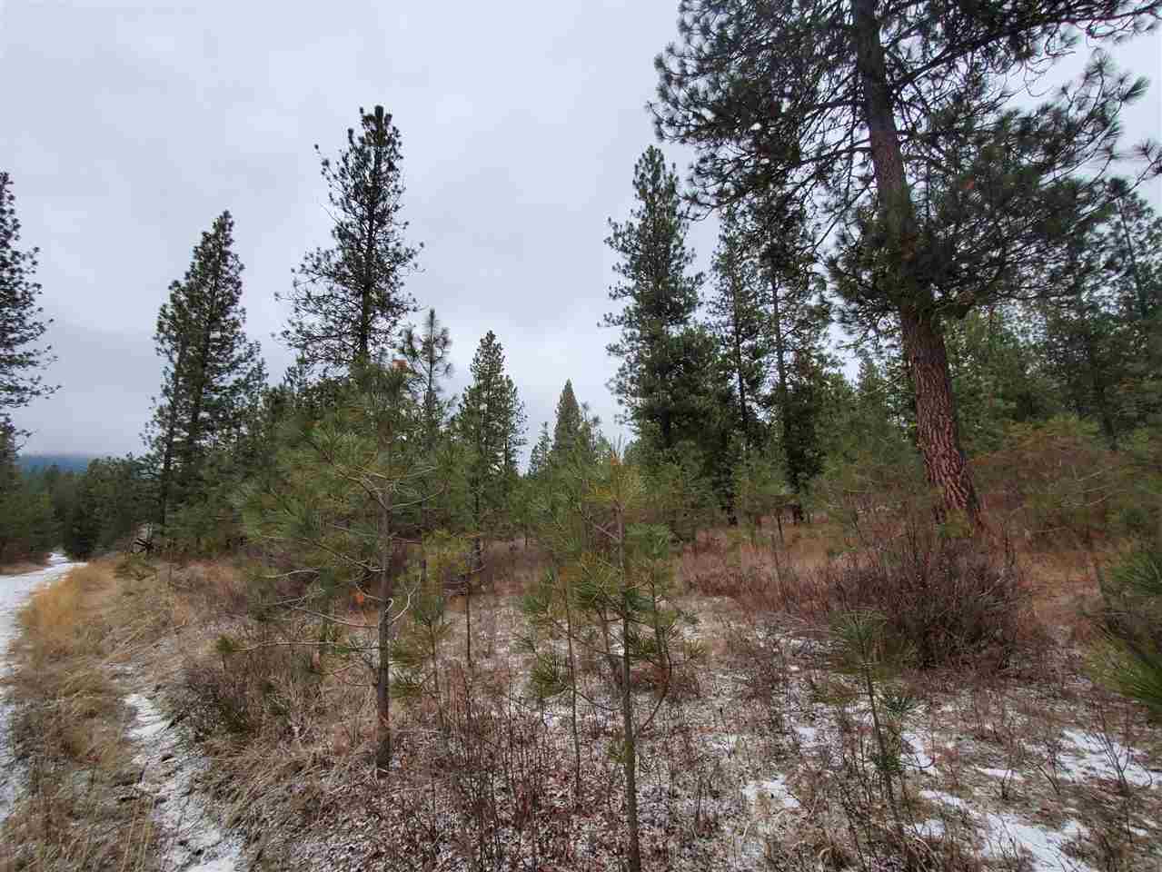 6270 Miller Mountain Road Fruitland, WA 99129 - Photo 5 of 20 Gallery Image 5