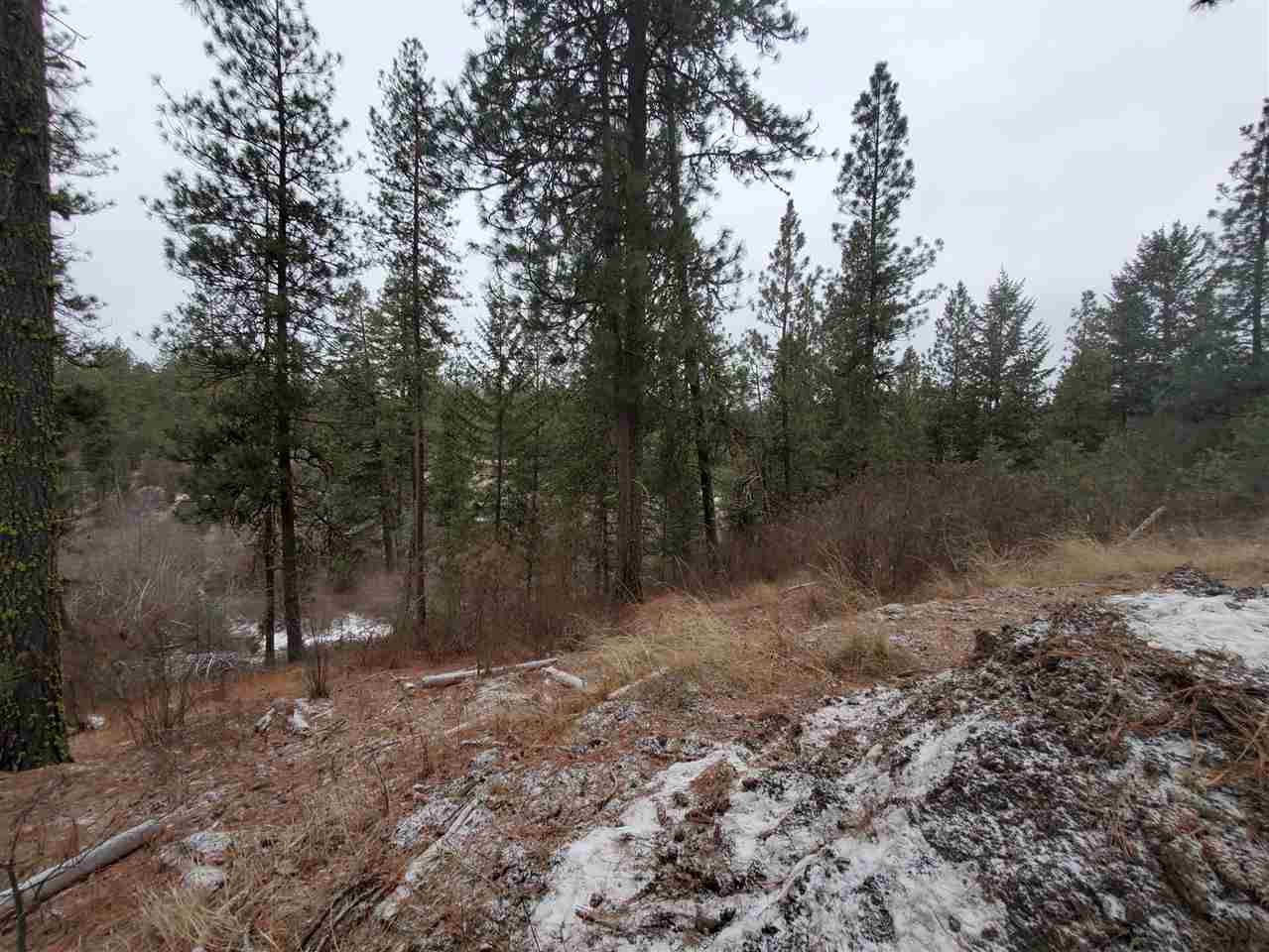 6270 Miller Mountain Road Fruitland, WA 99129 - Photo 6 of 20 Gallery Image 6