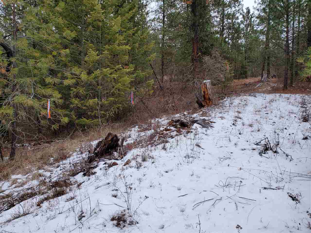 6270 Miller Mountain Road Fruitland, WA 99129 - Photo 9 of 20 Gallery Image 9