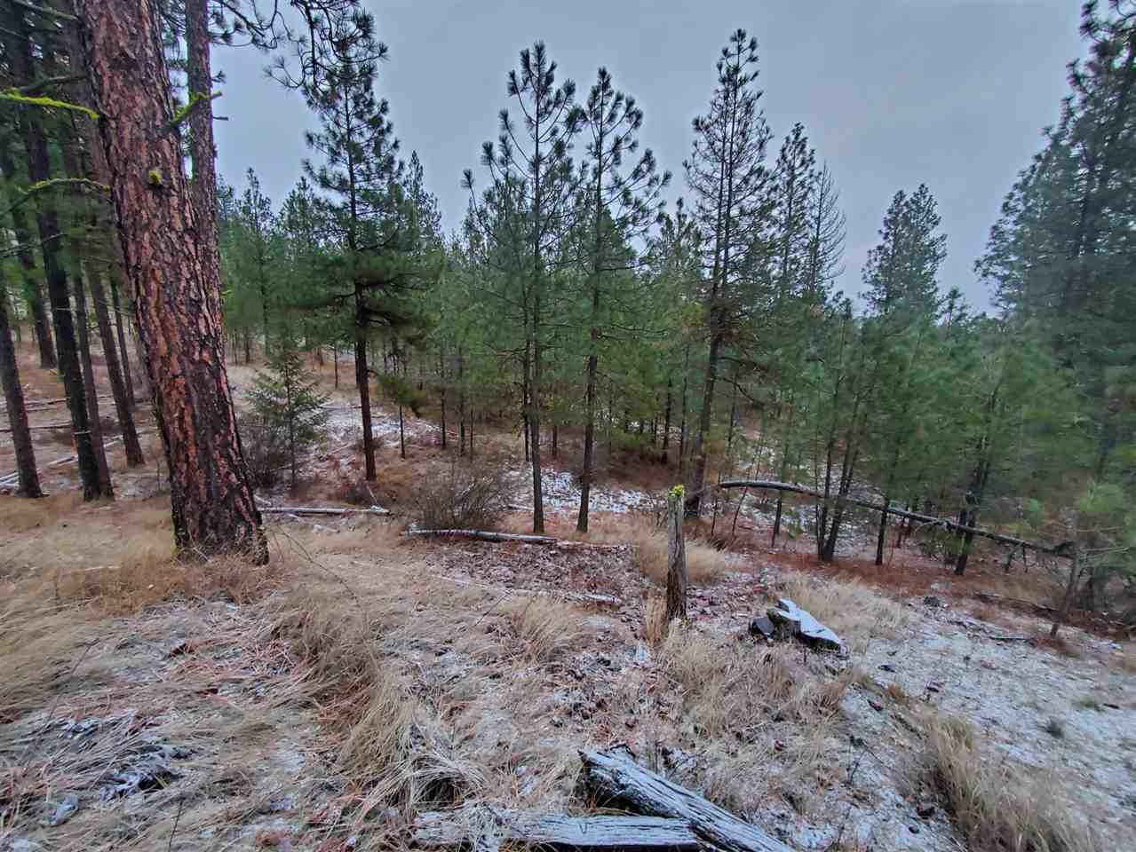 6270 Miller Mountain Road Fruitland, WA 99129 - Photo 10 of 20 Gallery Image 10