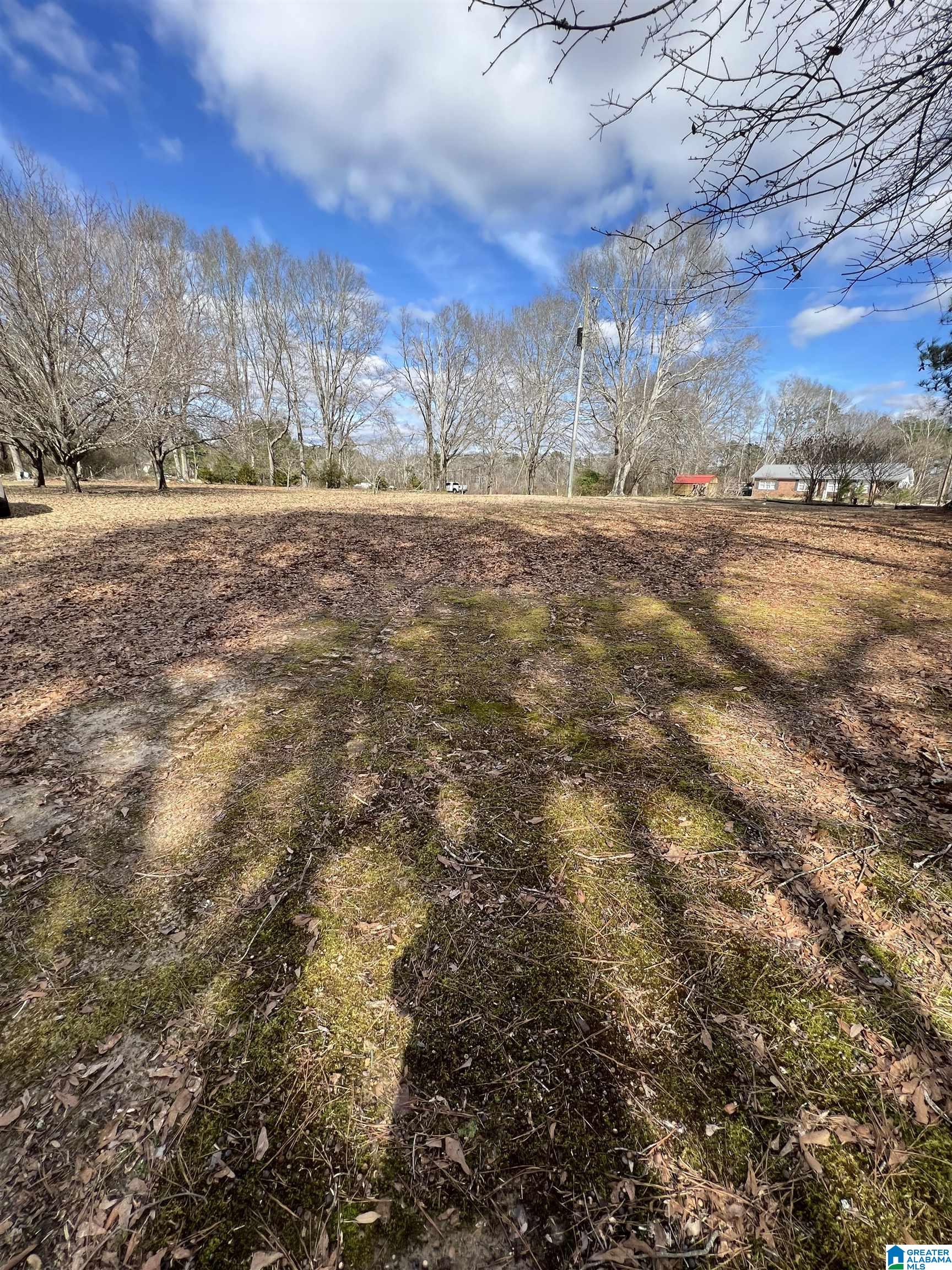 2241 Temple Road Clanton, AL 35046 - Photo 30 of 31