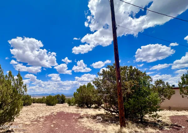 $360,000 | 52 Acr 8010, Concho, AZ 85924