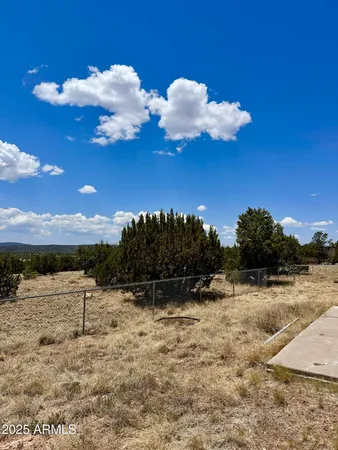 $360,000 | 52 Acr 8010, Concho, AZ 85924