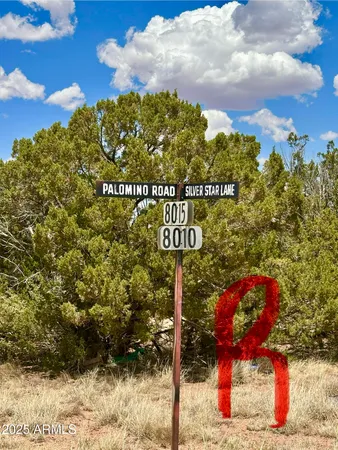 $360,000 | 52 Acr 8010, Concho, AZ 85924