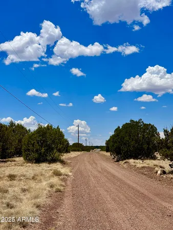 $360,000 | 52 Acr 8010, Concho, AZ 85924