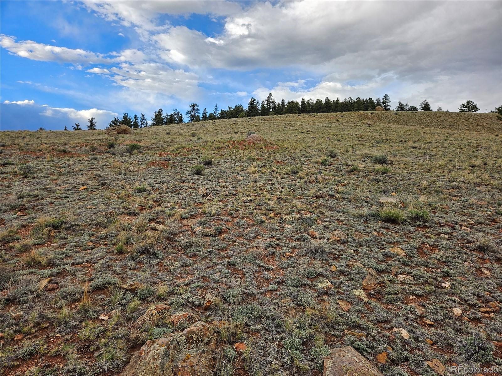 Fernando Trail Hartsel, CO 80449 - Photo 33 of 35