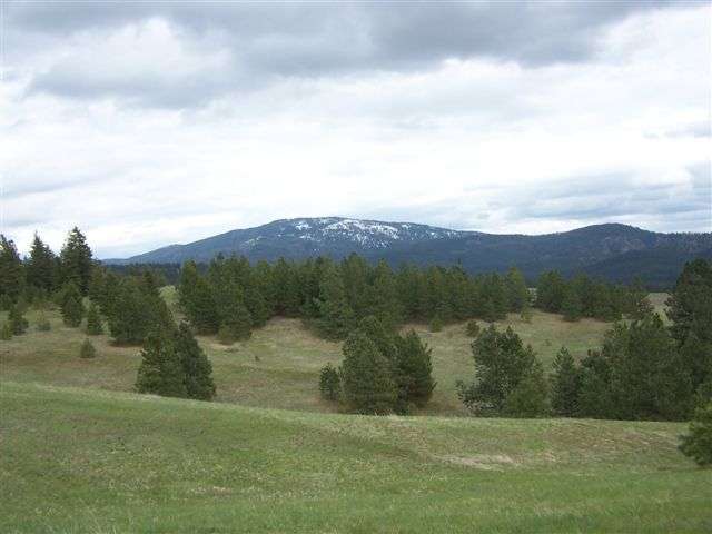 7915 South Jackson Road Mica, WA 99023 - Photo 2 of 9