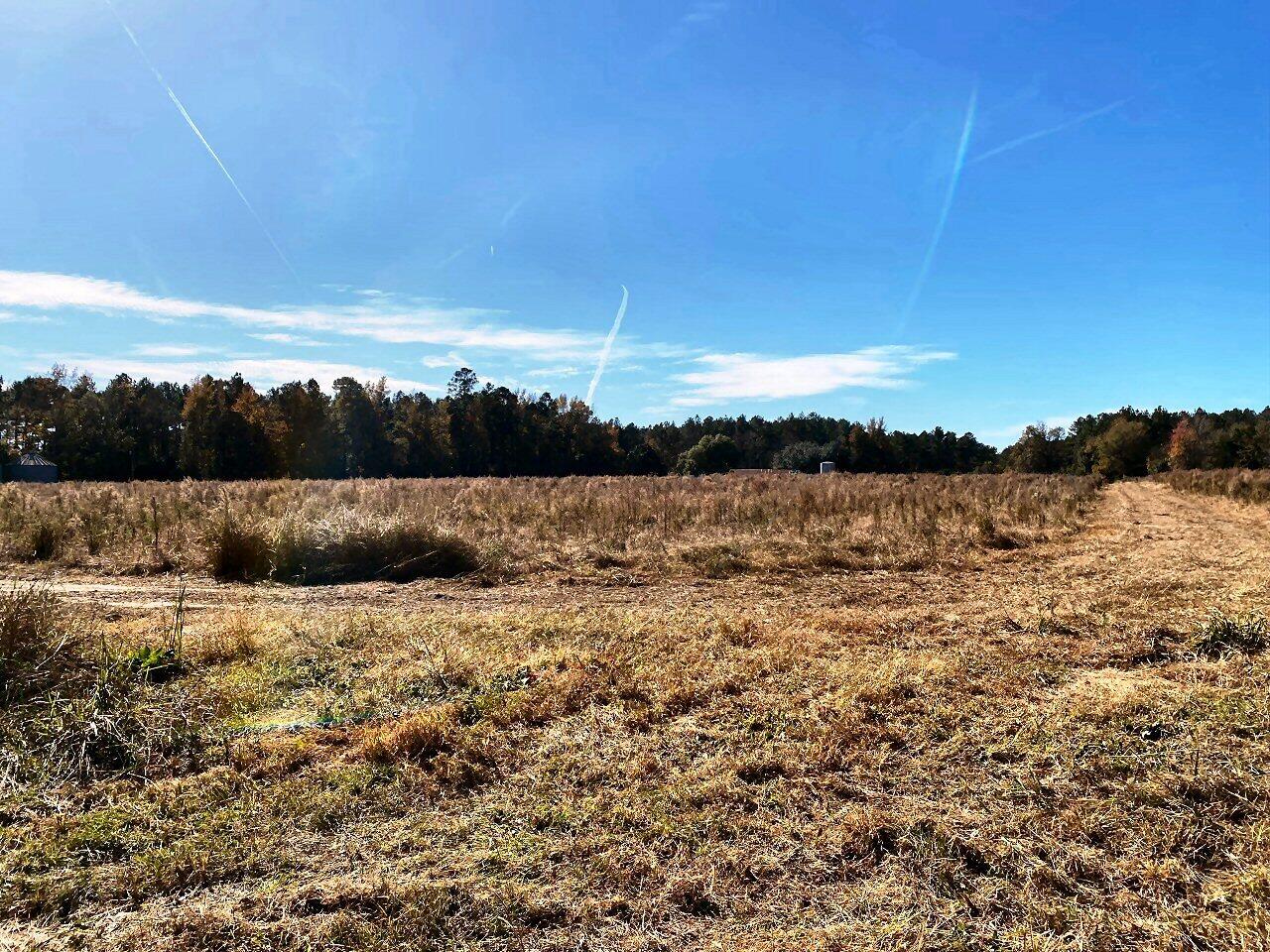 7 State Road Holly Hill, SC 29059 - Photo 1 of 16 Unlimited potential!