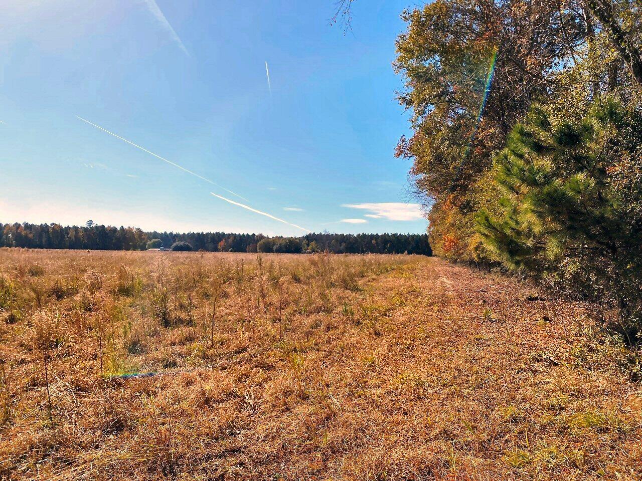 7 State Road Holly Hill, SC 29059 - Photo 2 of 16 Great horse farm!