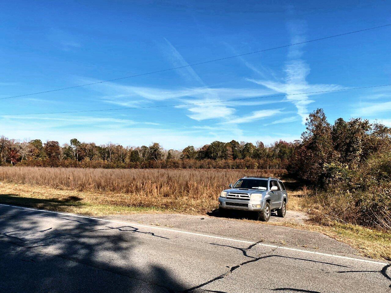 7 State Road Holly Hill, SC 29059 - Photo 4 of 16 Hwy 176 road frontage!