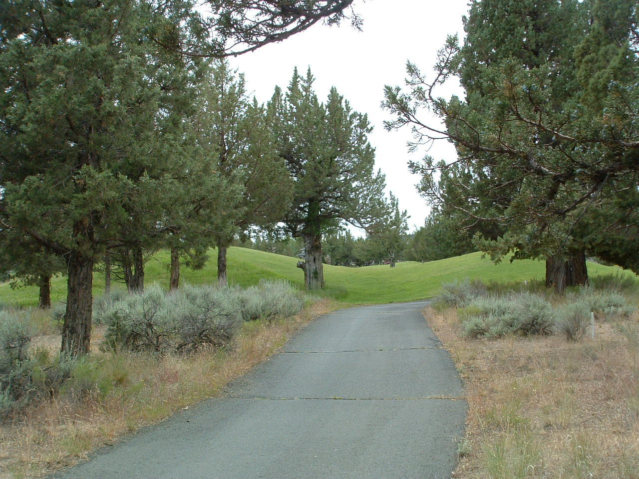 528 Widgeon Road Redmond, OR 97756 - Photo 9 of 12 DSCF0054