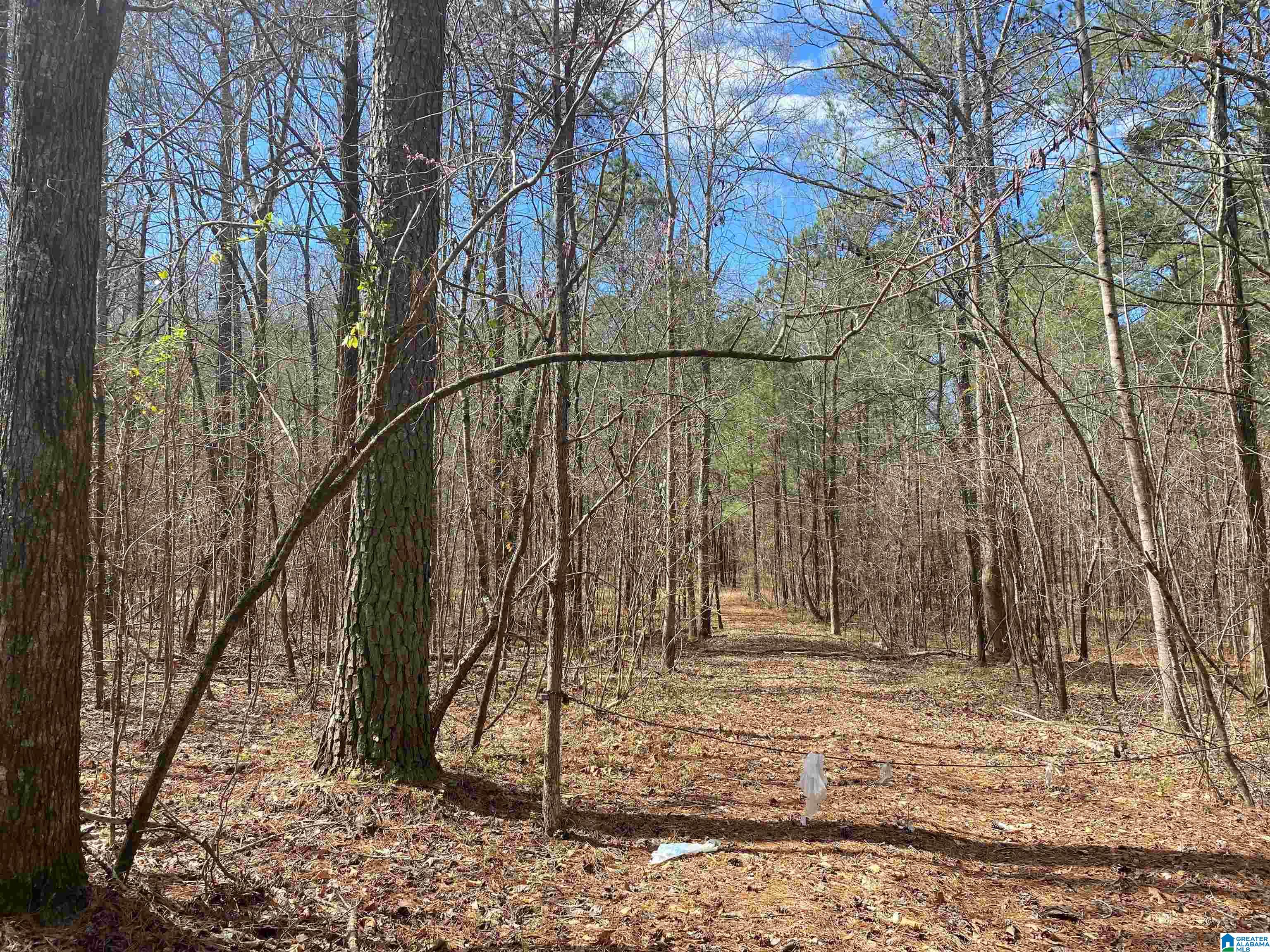 Springs Lane, Unit 12 Springville, AL 35146 - Photo 26 of 26