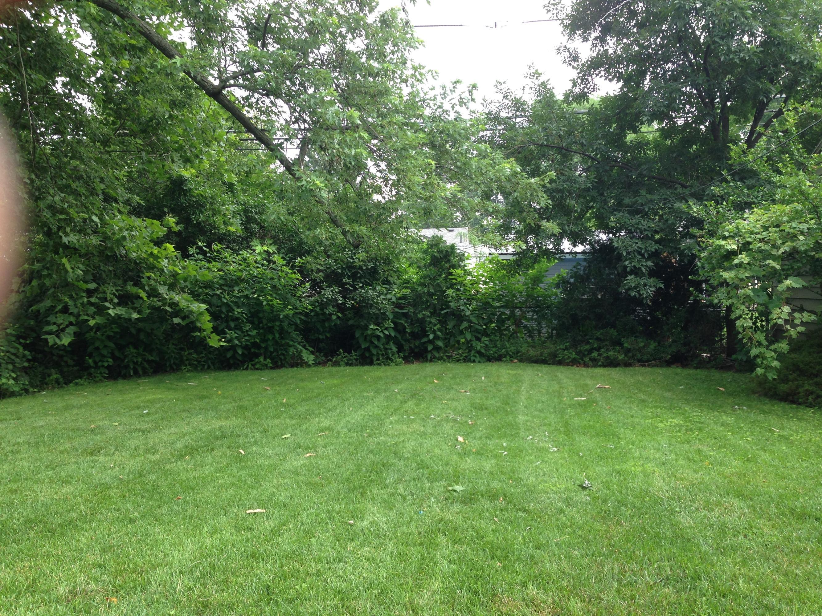 1982 Langham Road Columbus, OH 43221 - Photo 6 of 6