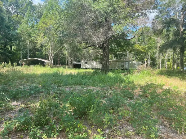 a view of backyard with green space