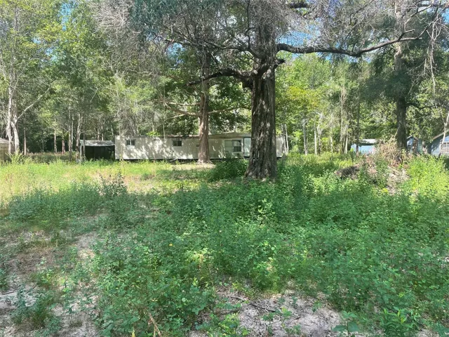 a view of yard with green space