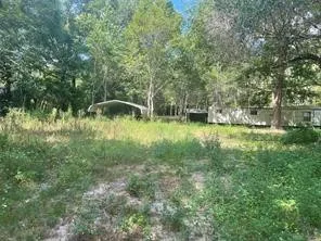 a big yard with lots of green space and plants