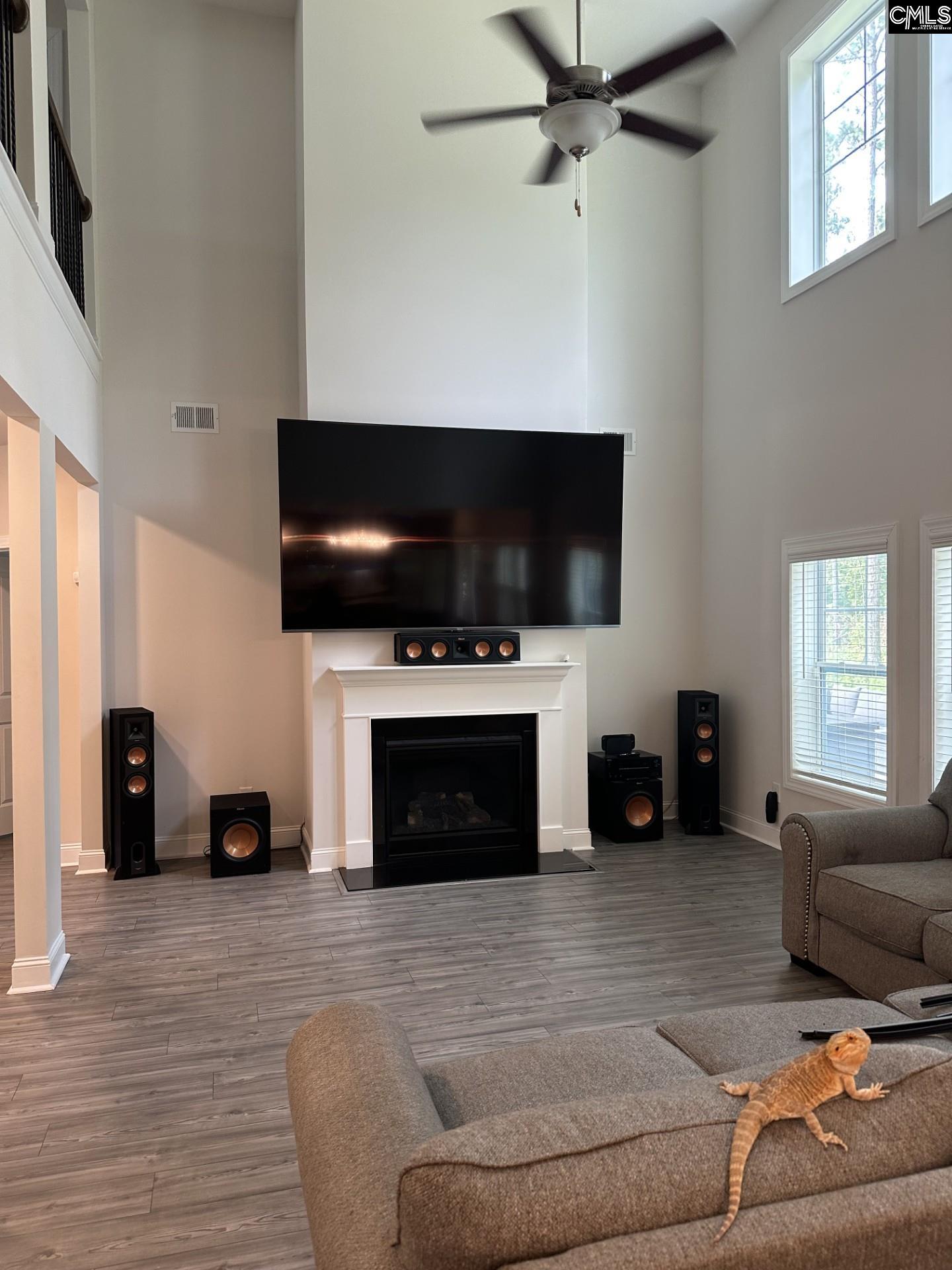 524 Triumph Road Chapin, SC 29036 - Photo 12 of 50