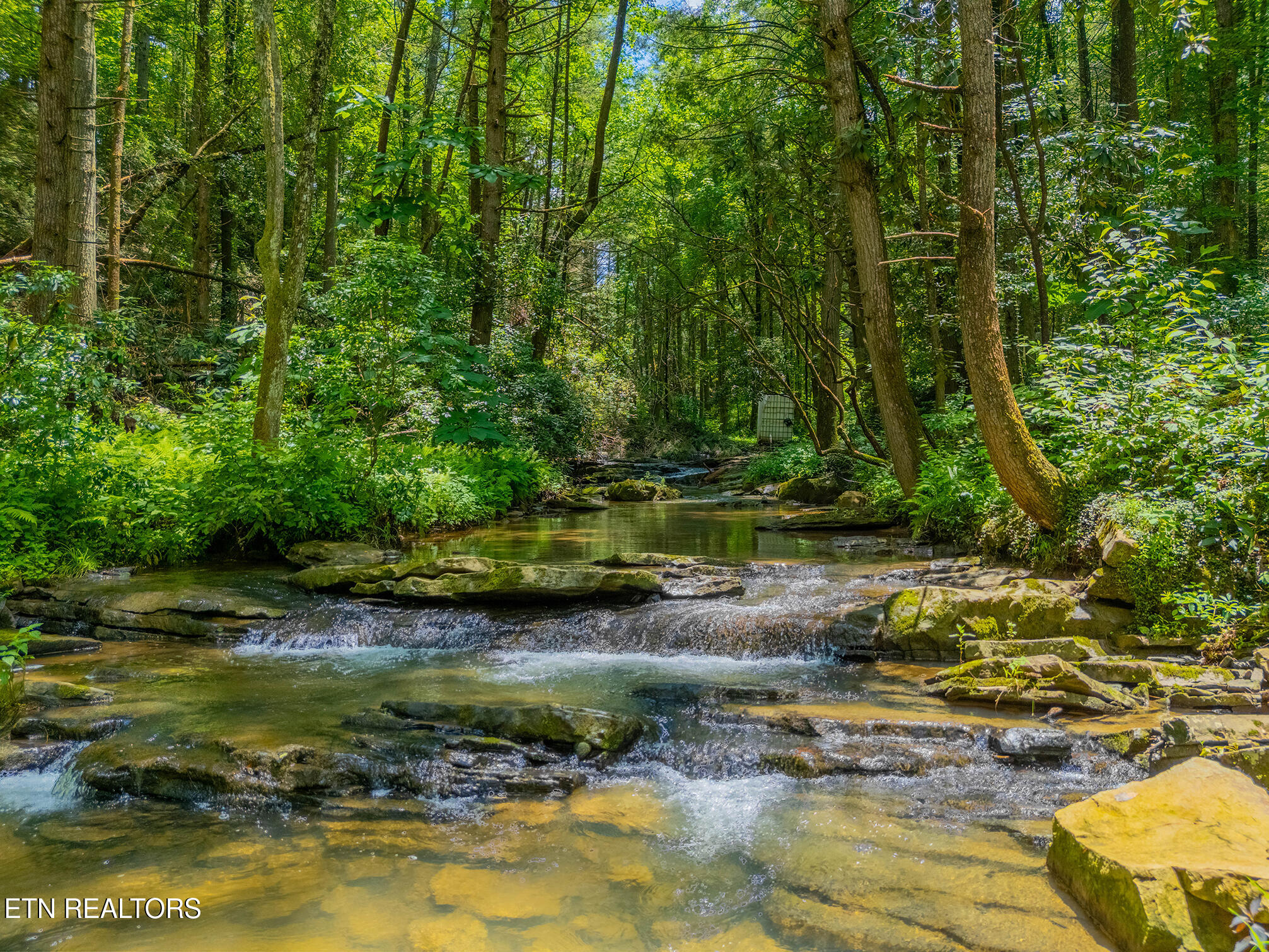 118 Authorn Sheldon Road Harriman, TN 37748 - Photo 11 of 59 25 - DJI_20250617141942_0939_D-HDR