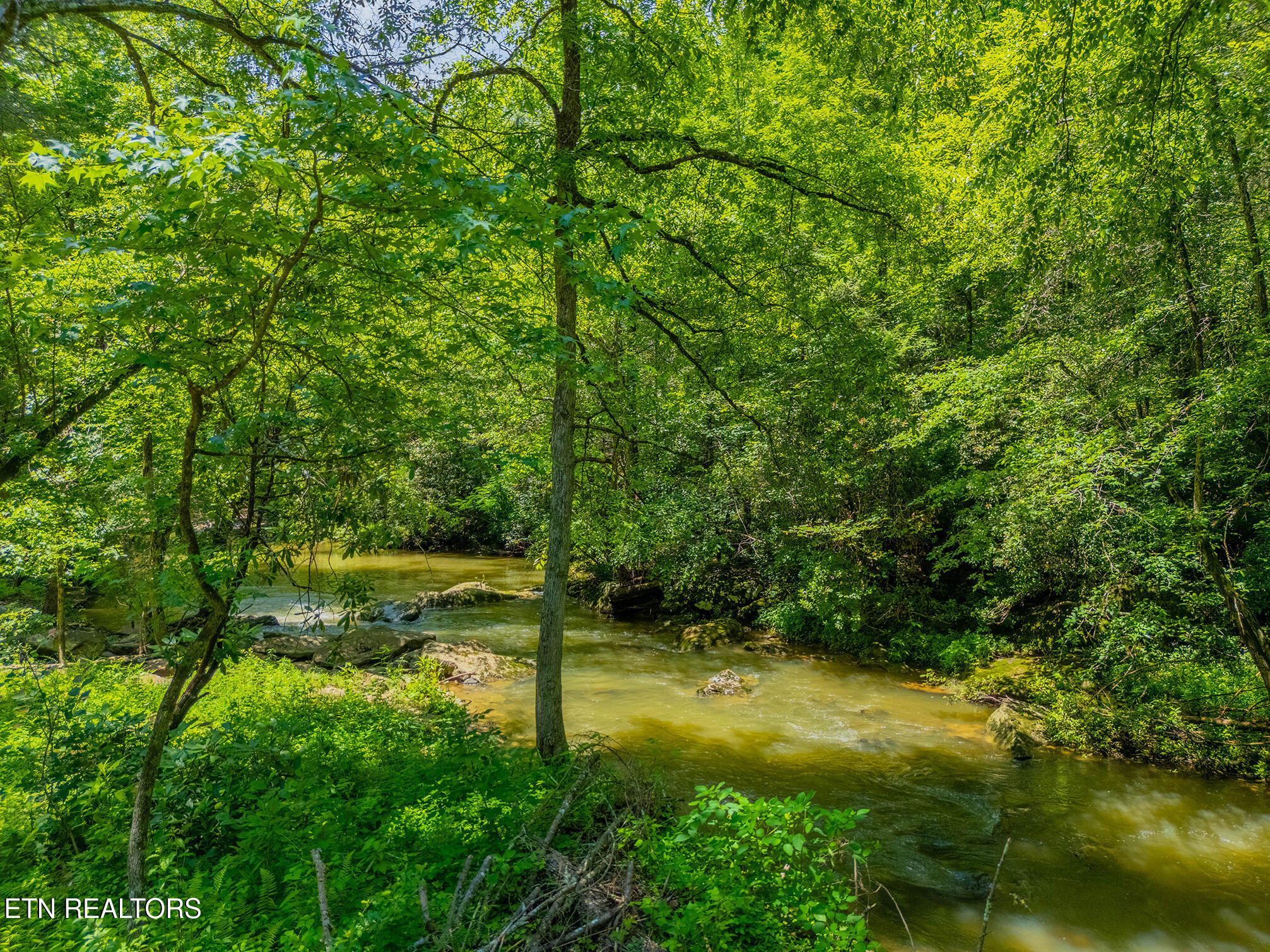 118 Authorn Sheldon Road Harriman, TN 37748 - Photo 12 of 59 26 - DJI_20250617142039_0944_D-HDR