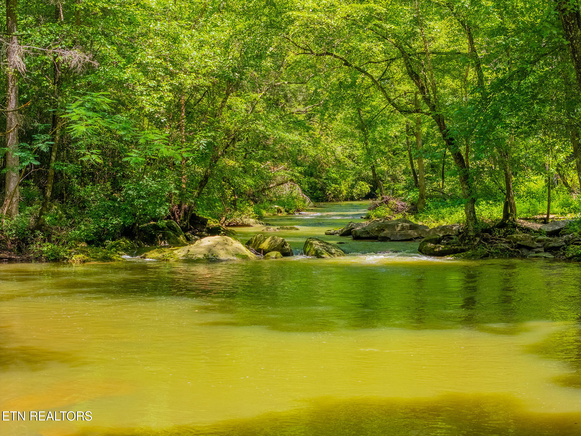 118 Authorn Sheldon Road Harriman, TN 37748 - Photo 15 of 59 30 - DJI_20250617142340_0964_D-HDR