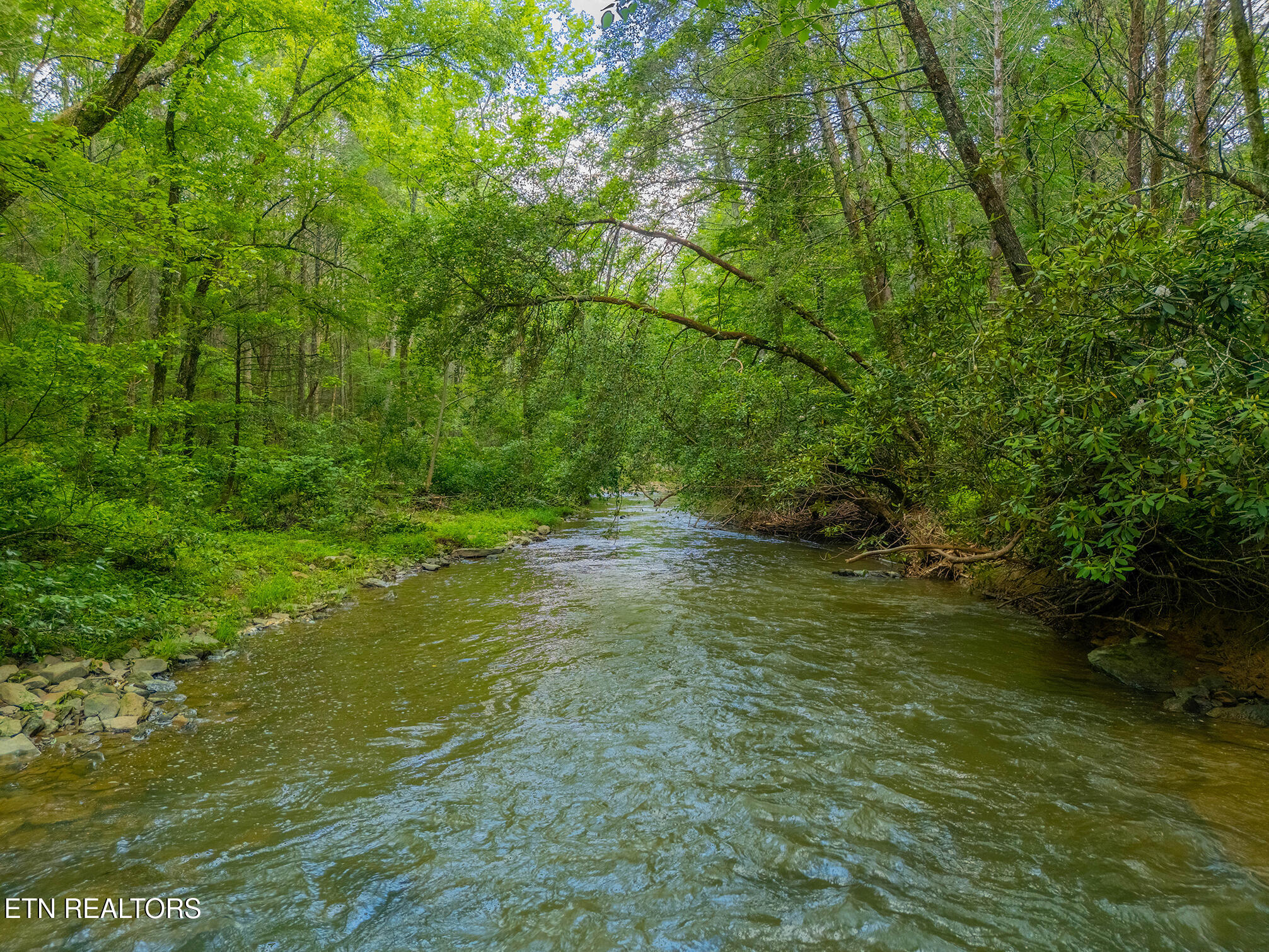 118 Authorn Sheldon Road Harriman, TN 37748 - Photo 24 of 59 46 - DJI_20250617162326_0085_D-HDR