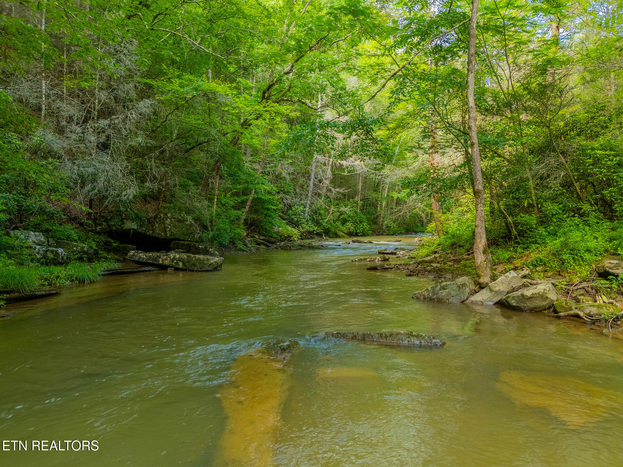 118 Authorn Sheldon Road Harriman, TN 37748 - Photo 28 of 59 50 - DJI_20250617162927_0105_D-HDR
