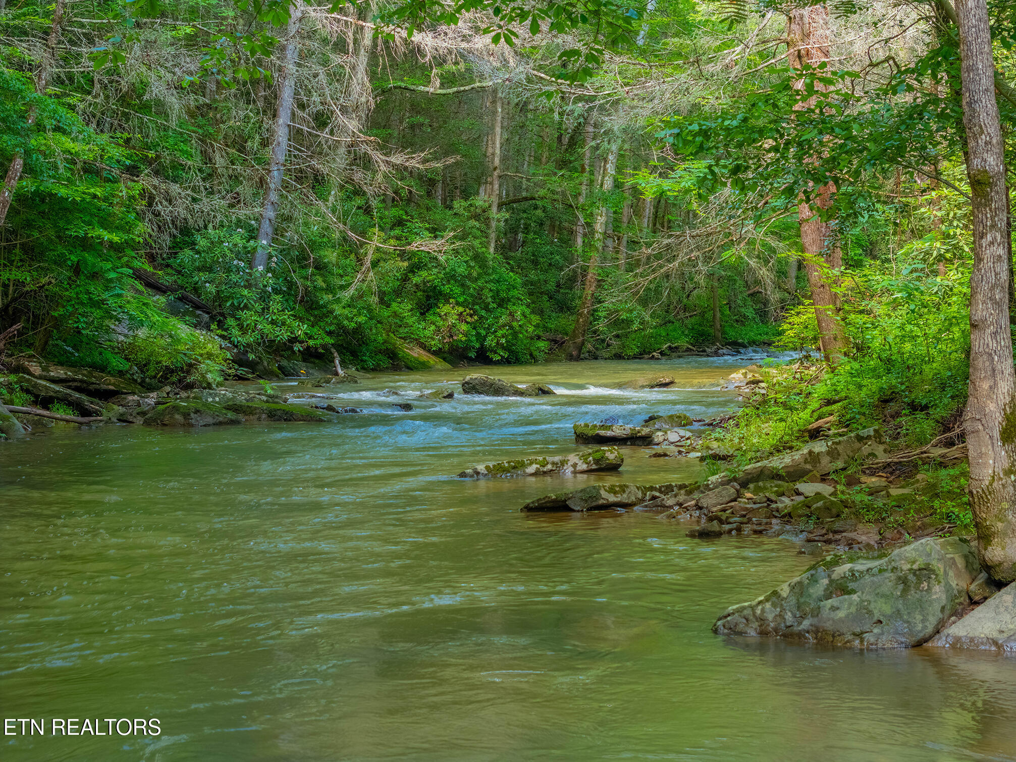 118 Authorn Sheldon Road Harriman, TN 37748 - Photo 29 of 59 51 - DJI_20250617162953_0110_D-HDR