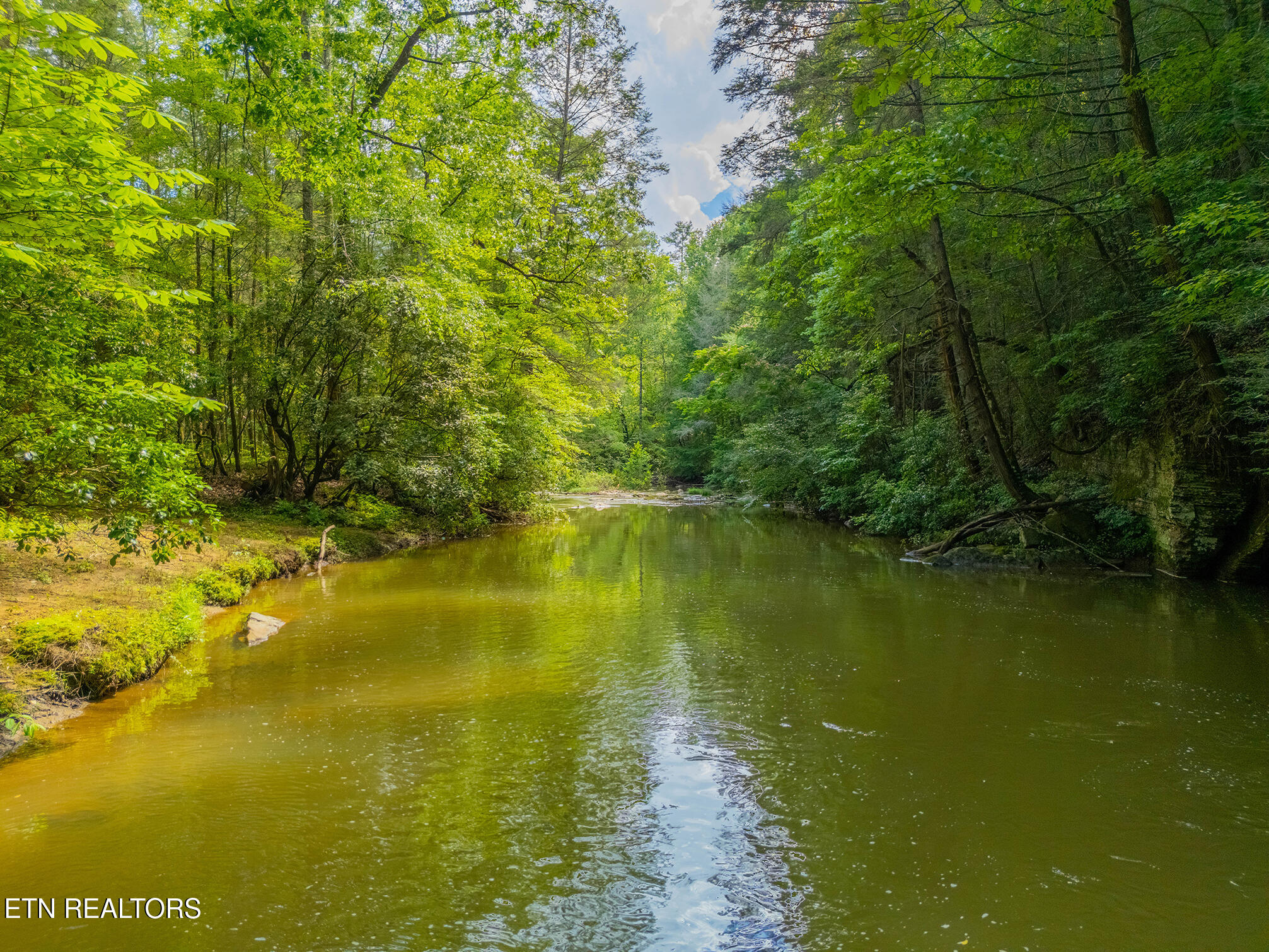 118 Authorn Sheldon Road Harriman, TN 37748 - Photo 30 of 59 52 - DJI_20250617163024_0115_D-HDR