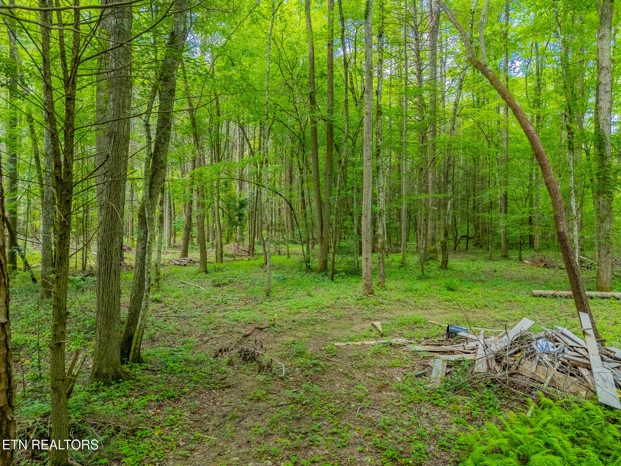 118 Authorn Sheldon Road Harriman, TN 37748 - Photo 33 of 59 55 - DJI_20250617163638_0130_D-HDR