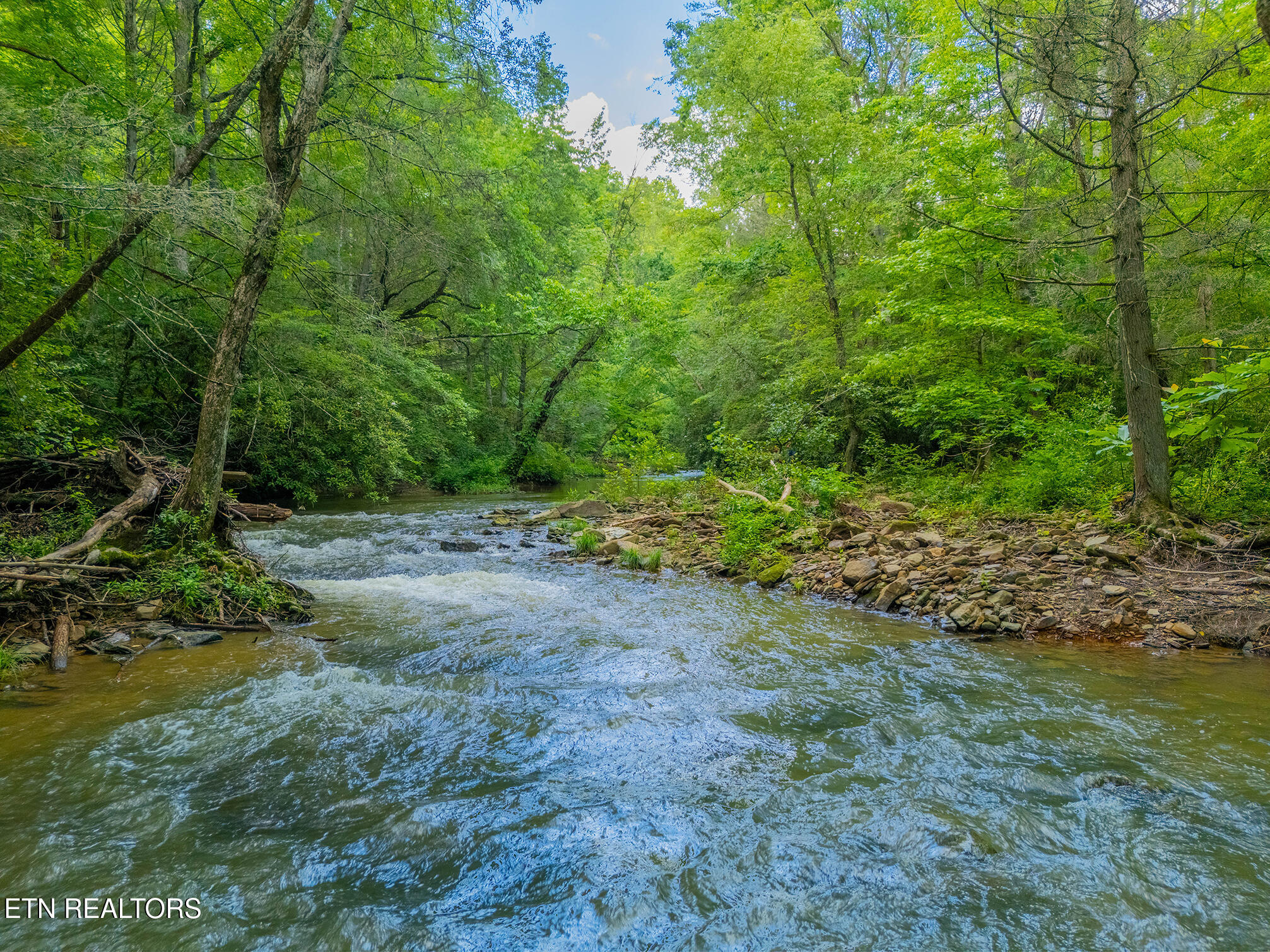 118 Authorn Sheldon Road Harriman, TN 37748 - Photo 54 of 59 47 - DJI_20250617162347_0090_D-HDR