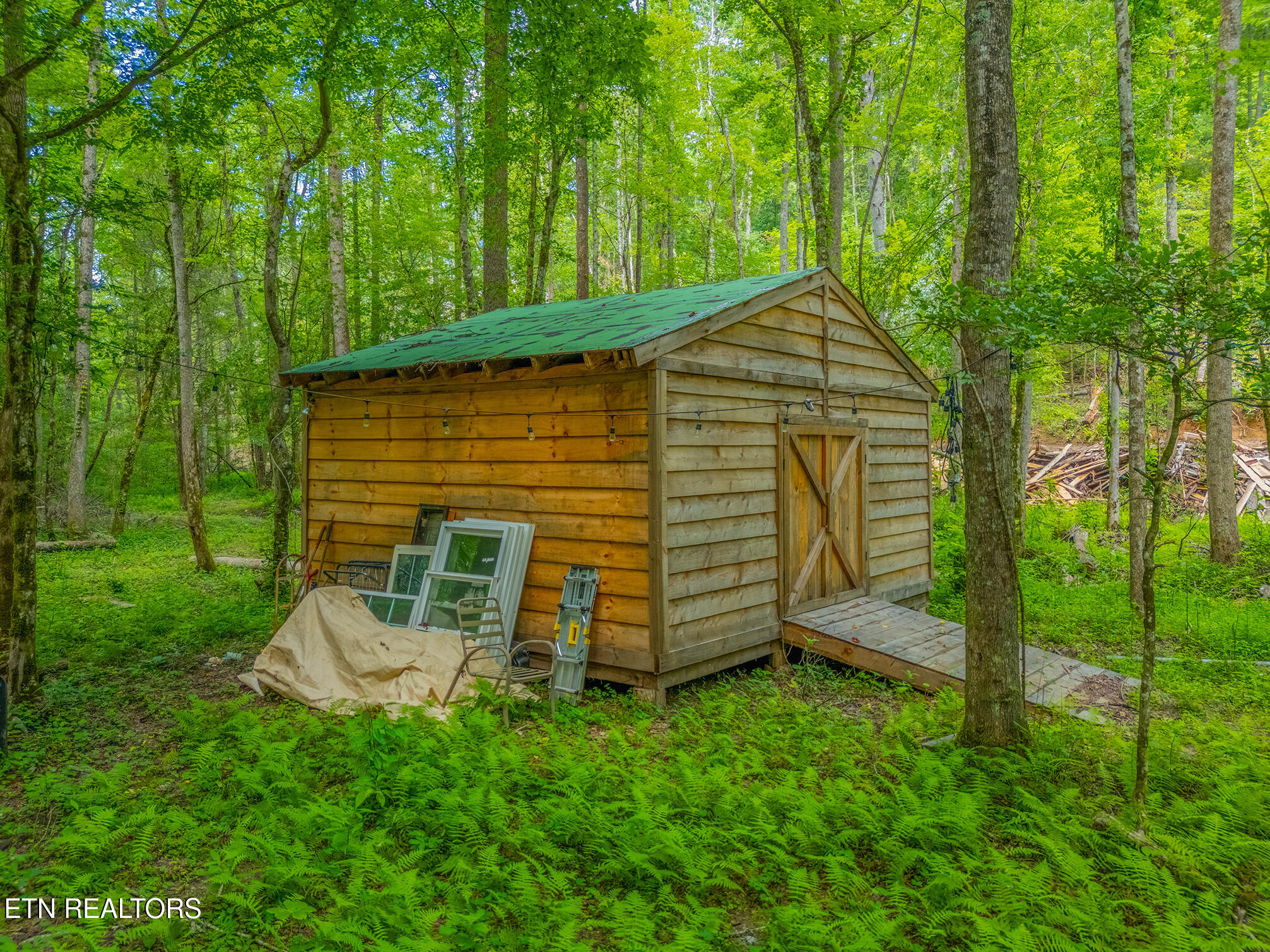 118 Authorn Sheldon Road Harriman, TN 37748 - Photo 57 of 59 54 - DJI_20250617163625_0125_D-HDR