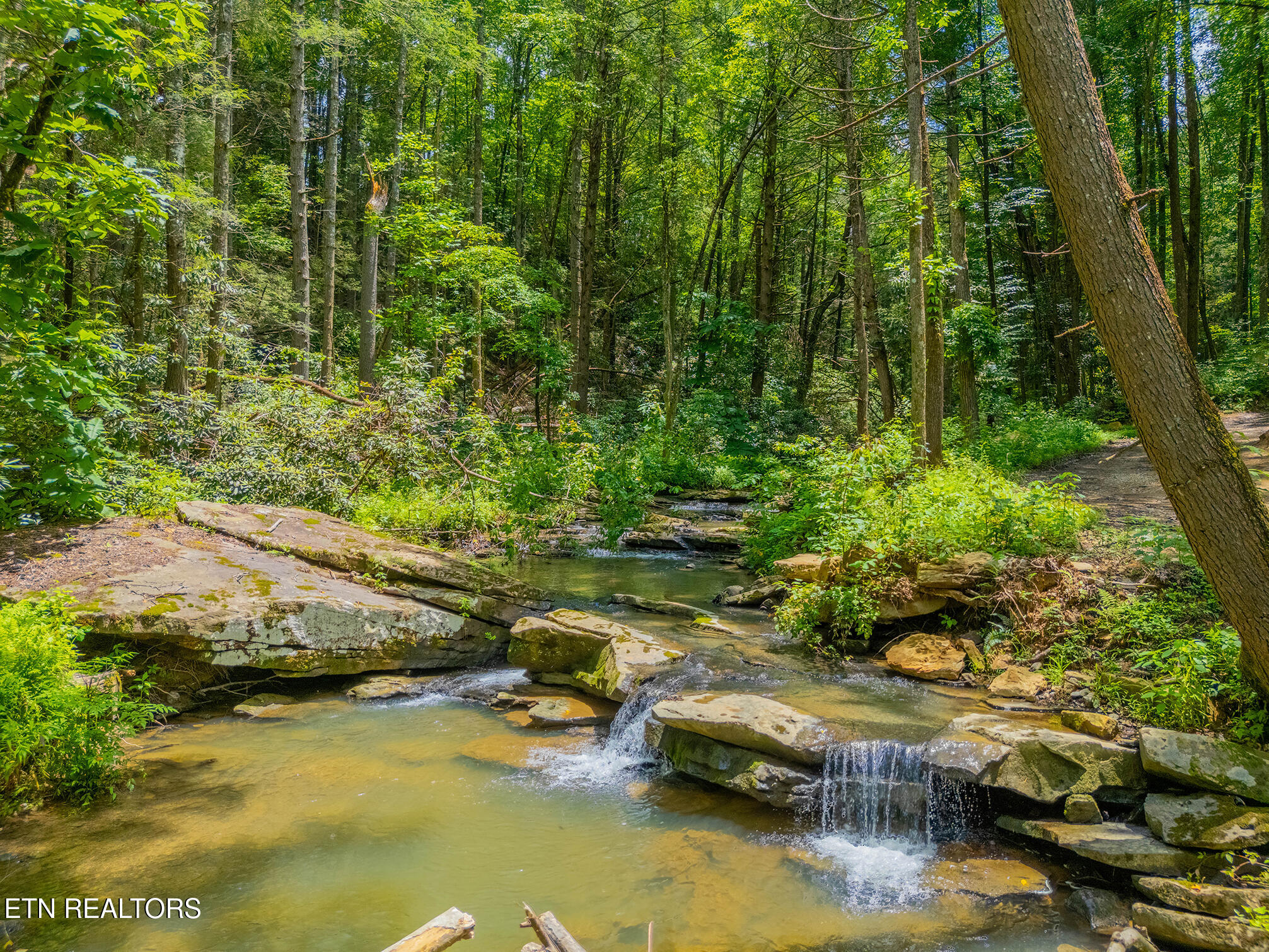 118 Authorn Sheldon Road Harriman, TN 37748 - Photo 9 of 59 23 - DJI_20250617141851_0929_D-HDR
