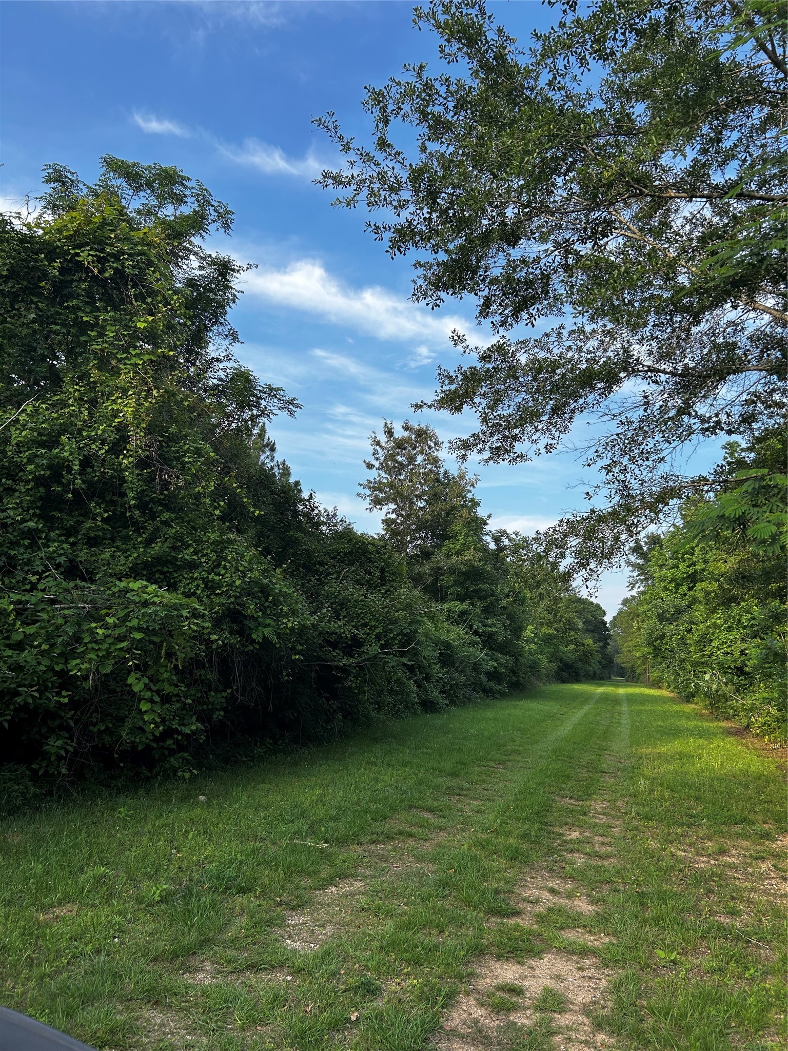 0 County Line Road Shepherd, TX 77371 - Photo 10 of 50