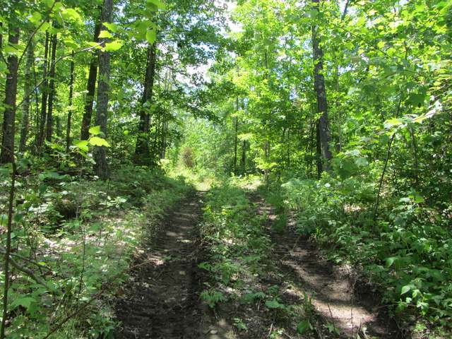 11888 Franklin Lake Road Minocqua, WI 54548 - Photo 6 of 14 Gallery Image 6