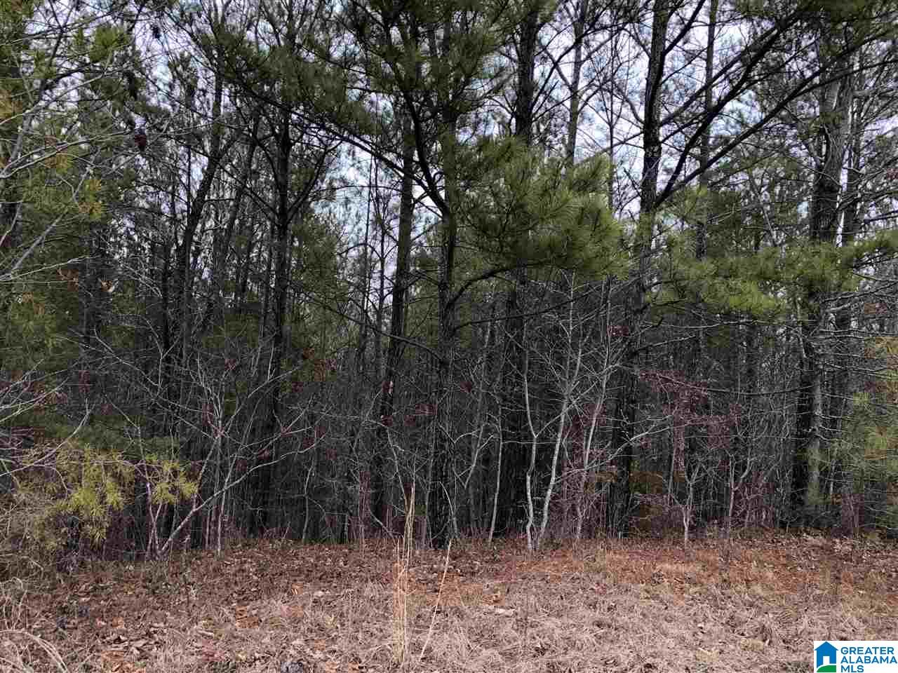 Lot 5 Sellers Road, Unit LOT 5 Dora, AL 35062 - Photo 3 of 3 Gallery Image 3