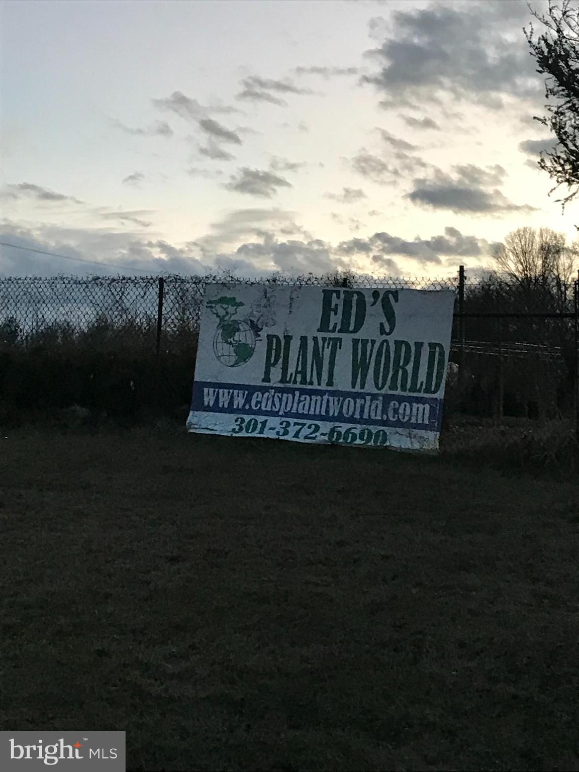 12206 Brandywine Road Brandywine, MD 20613 - Photo 61 of 62 Route 5 "Ed's Plant World" sign