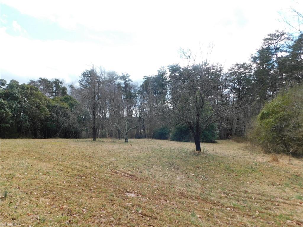 464 Caudle Road Pinnacle, NC 27043 - Photo 41 of 50