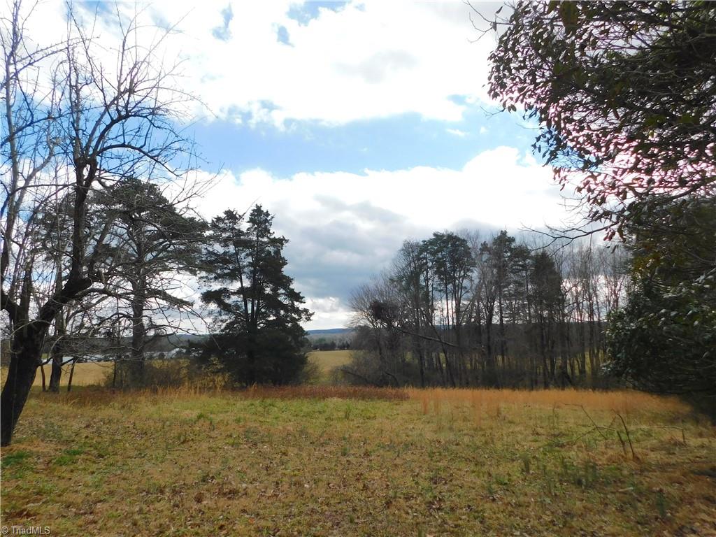 464 Caudle Road Pinnacle, NC 27043 - Photo 46 of 50