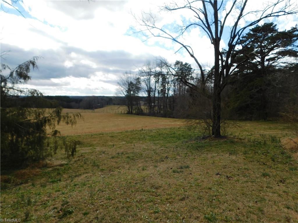 464 Caudle Road Pinnacle, NC 27043 - Photo 47 of 50