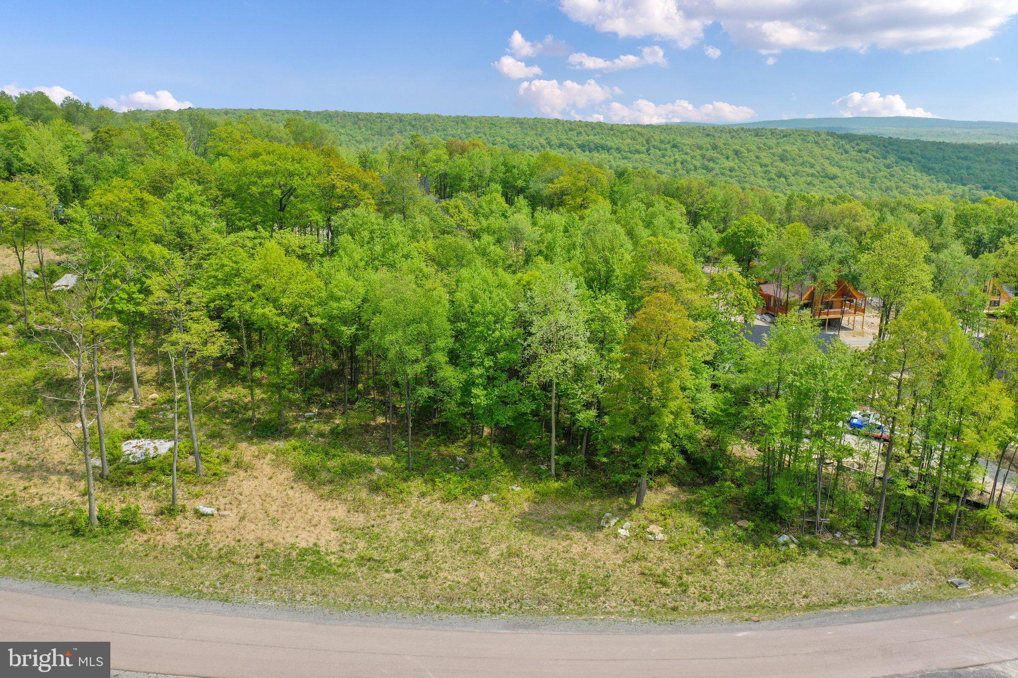 Lot 68 North Camp Road McHenry, MD 21541 - Photo 15 of 28 a view of a yard