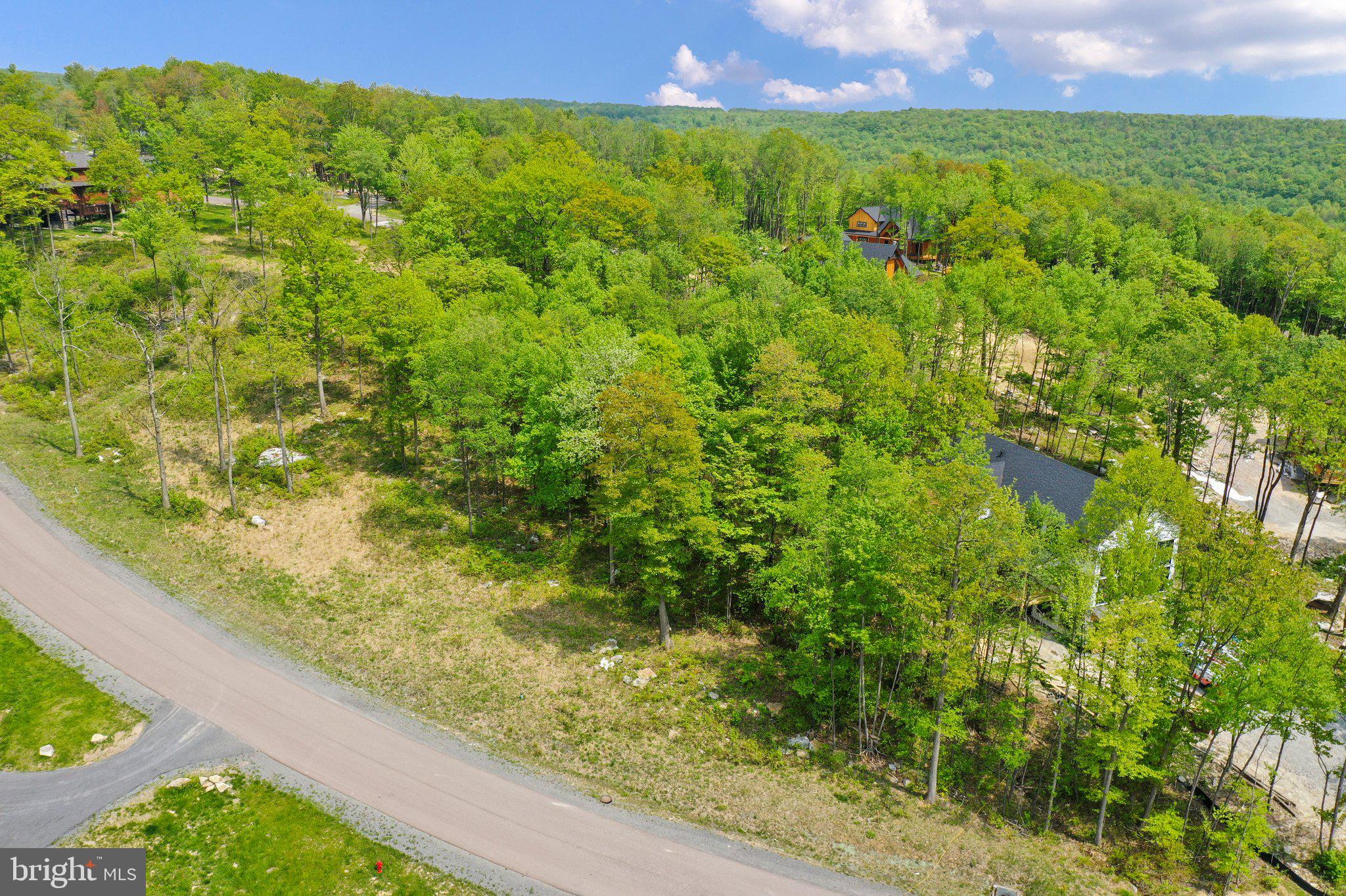 Lot 68 North Camp Road McHenry, MD 21541 - Photo 18 of 28 a view of a garden