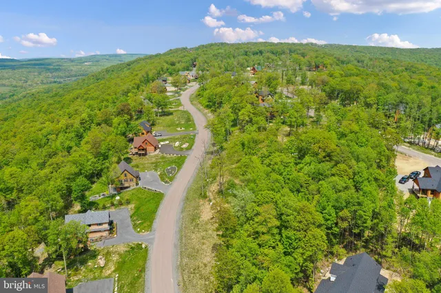 a view of a big yard with potted plants and a tree
