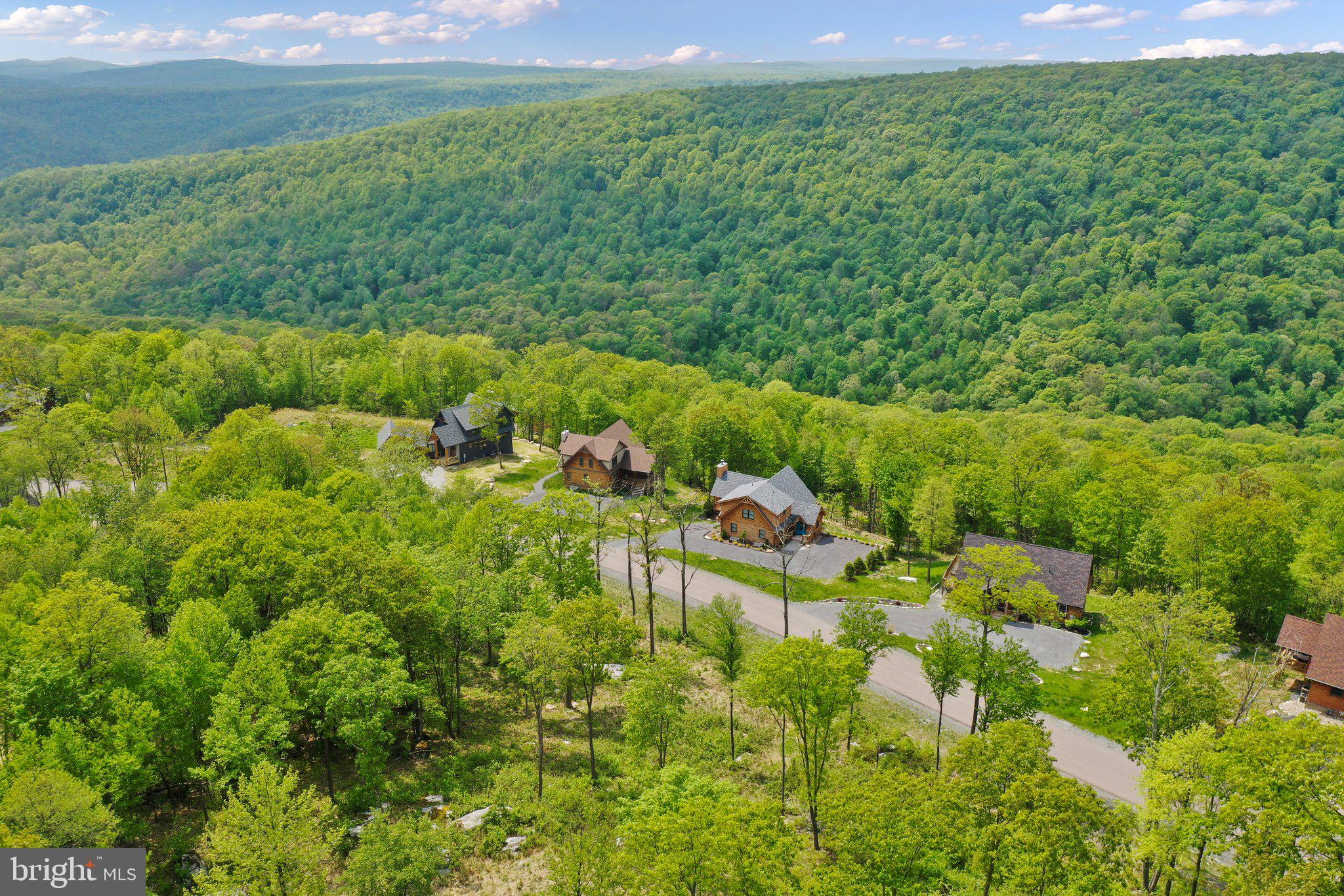 Lot 68 North Camp Road McHenry, MD 21541 - Photo 21 of 28 a view of a yard with plants and large trees