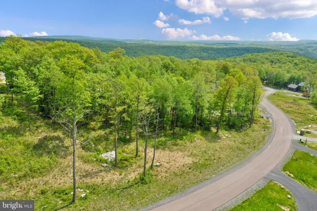 a view of a garden from a lake