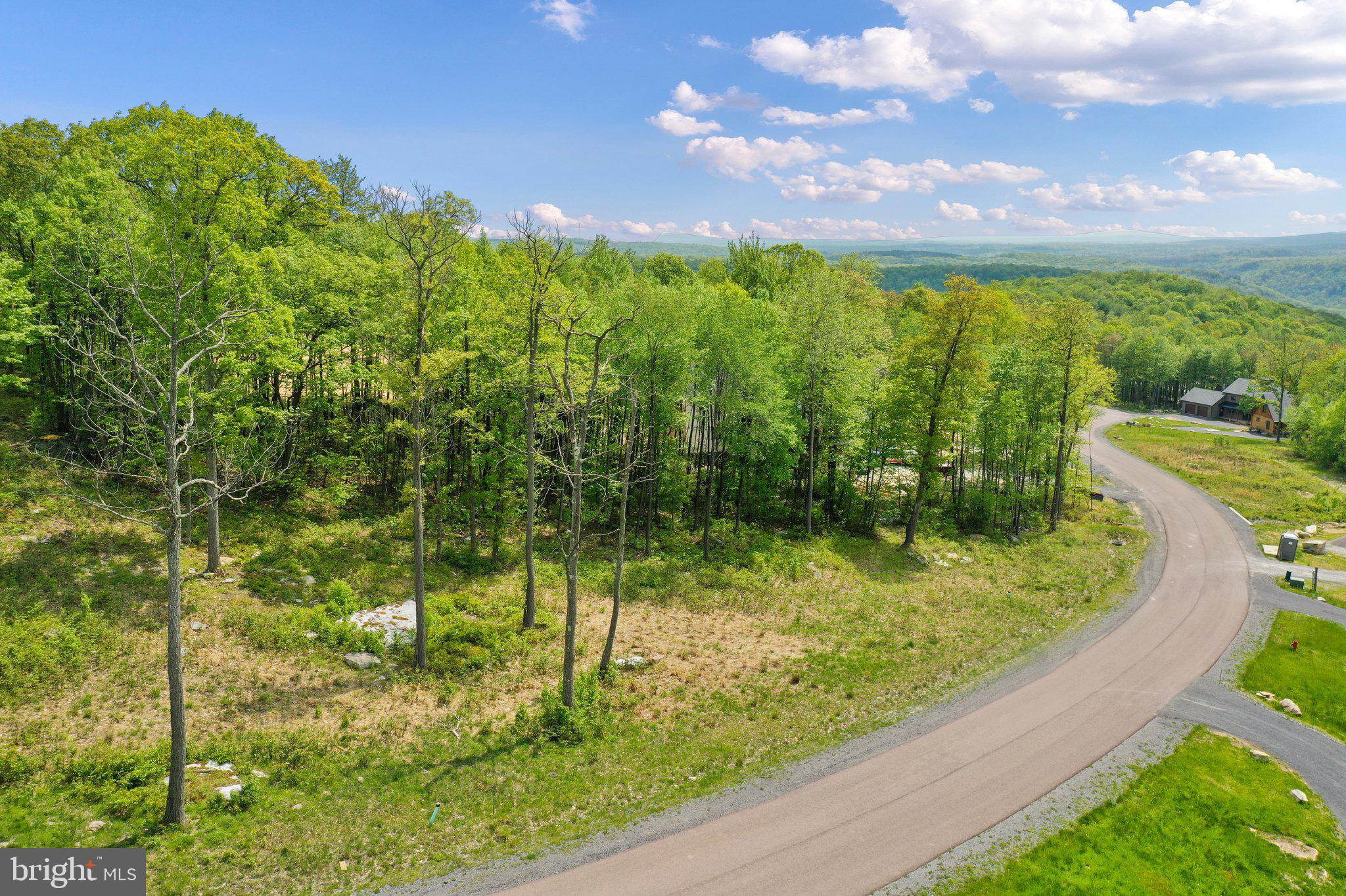 Lot 68 North Camp Road McHenry, MD 21541 - Photo 25 of 28 a view of a garden from a balcony
