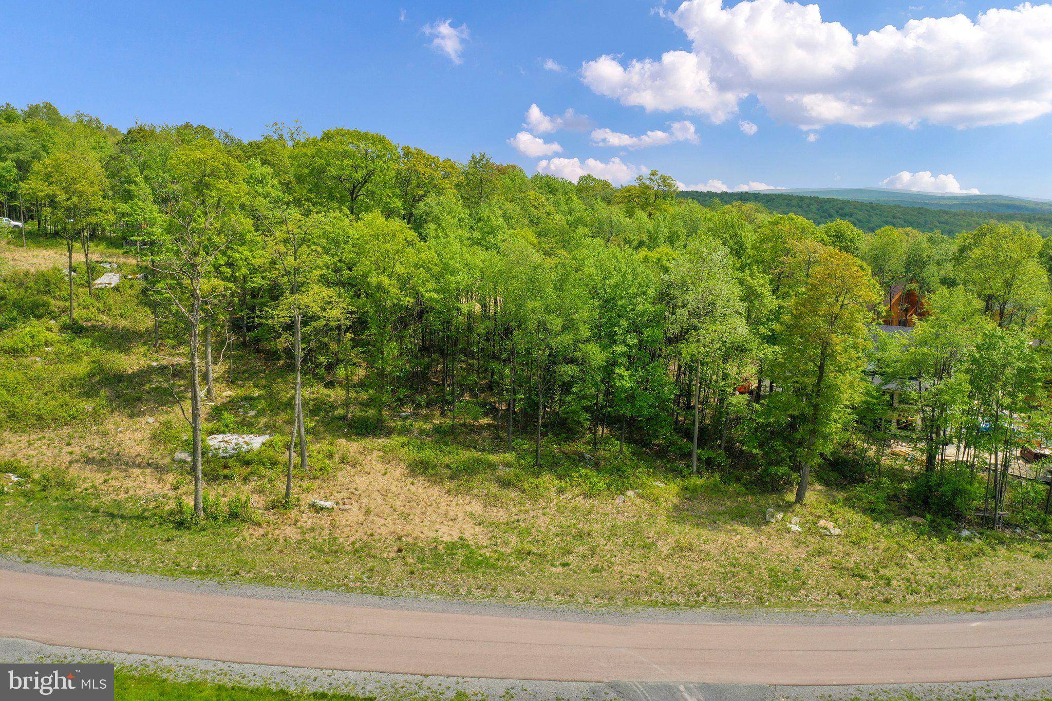 Lot 68 North Camp Road McHenry, MD 21541 - Photo 26 of 28 a view of a yard