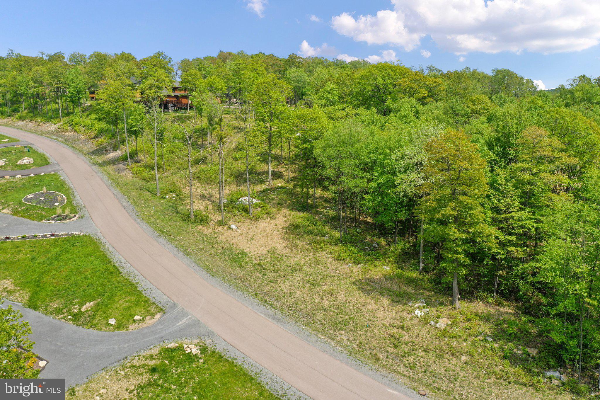 Lot 68 North Camp Road McHenry, MD 21541 - Photo 27 of 28 a view of a garden from a balcony
