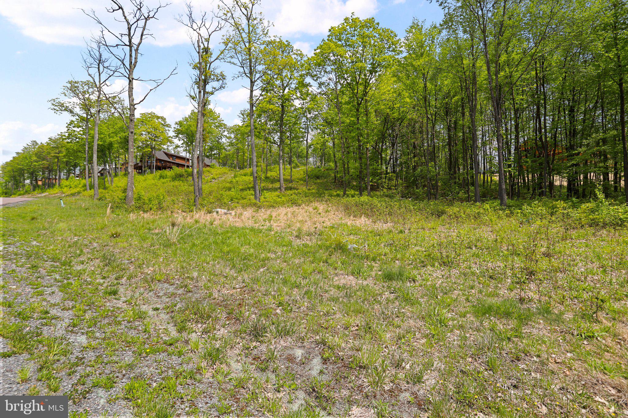 Lot 68 North Camp Road McHenry, MD 21541 - Photo 3 of 28 a backyard of a house with lots of green space and garden