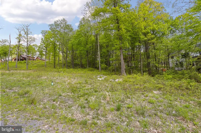 a backyard of a house with lots of green space and garden