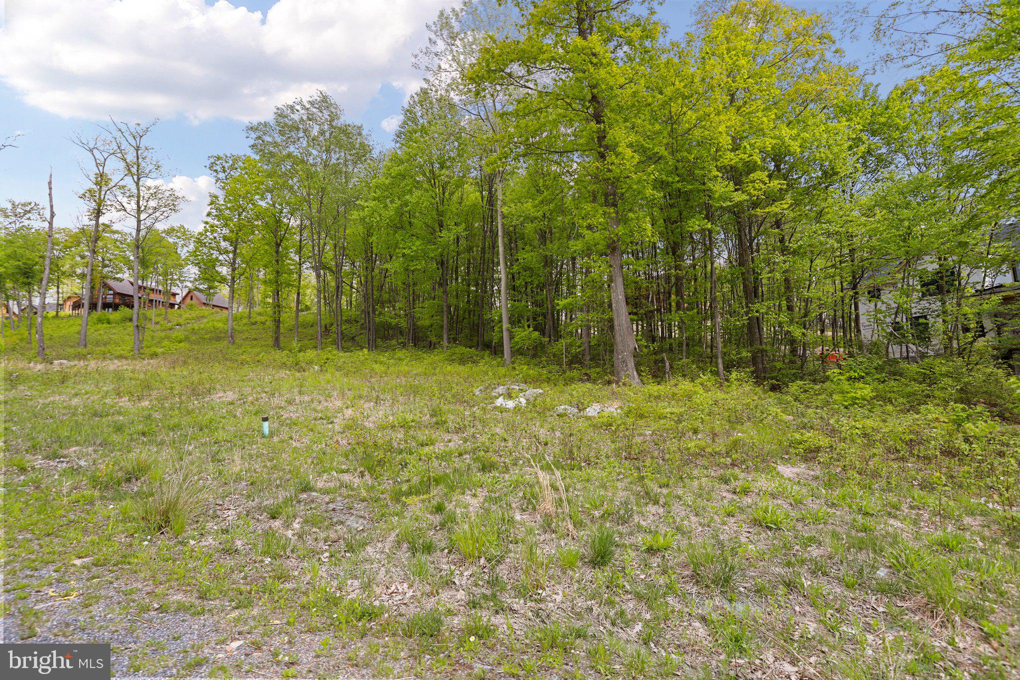 Lot 68 North Camp Road McHenry, MD 21541 - Photo 4 of 28 a backyard of a house with lots of green space and garden